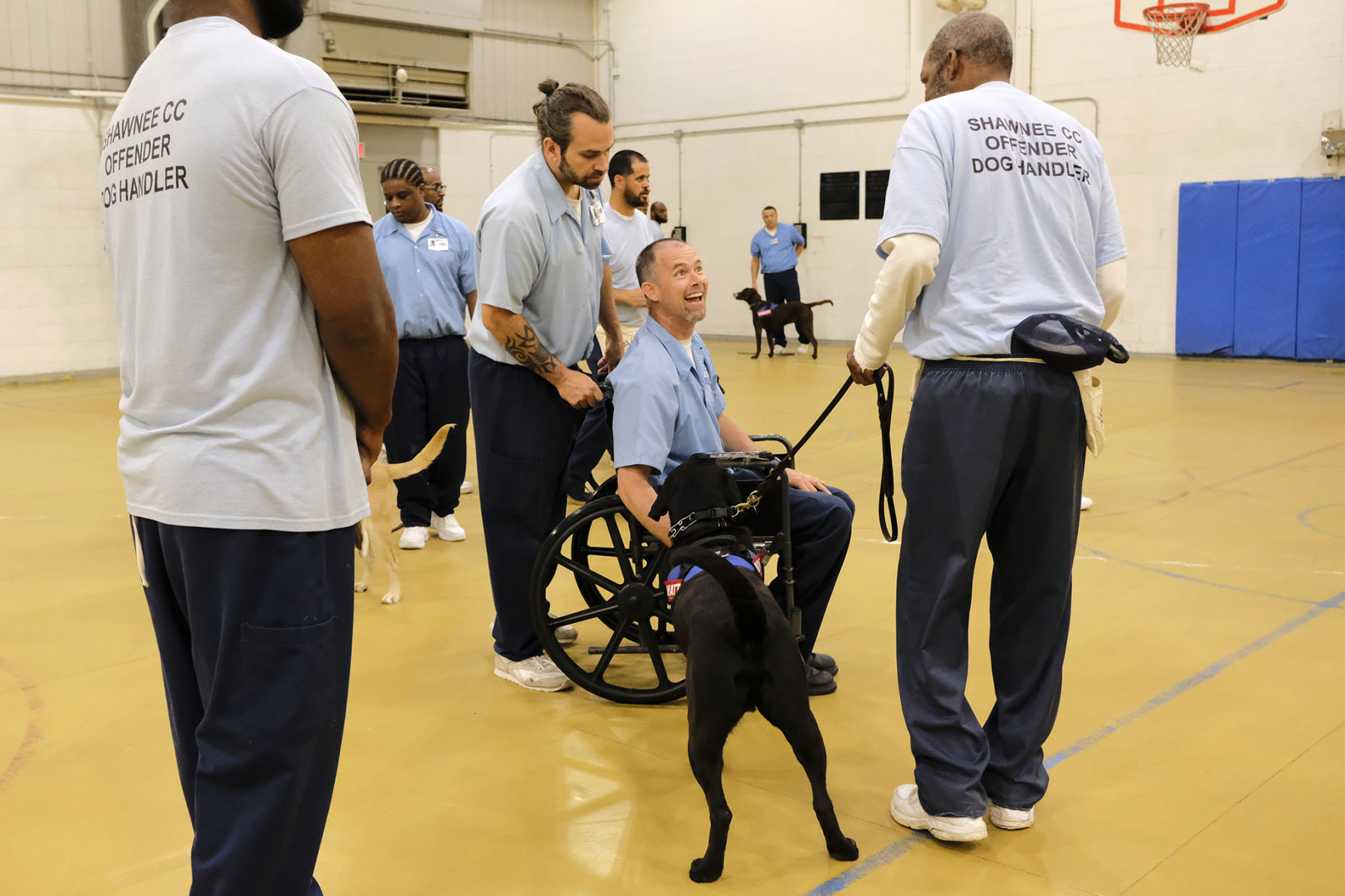 Shawnee Dog Training